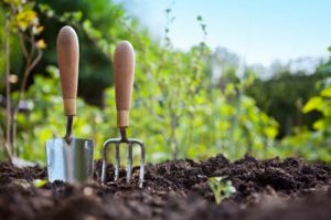 growing food at home